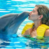 Dolphin show in Hurghada (2)