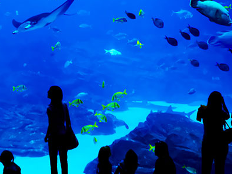Grand aquarium Hurghada (1)