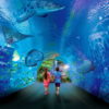 Grand aquarium Hurghada